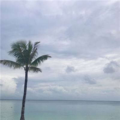 云博体育平台官网下载截图